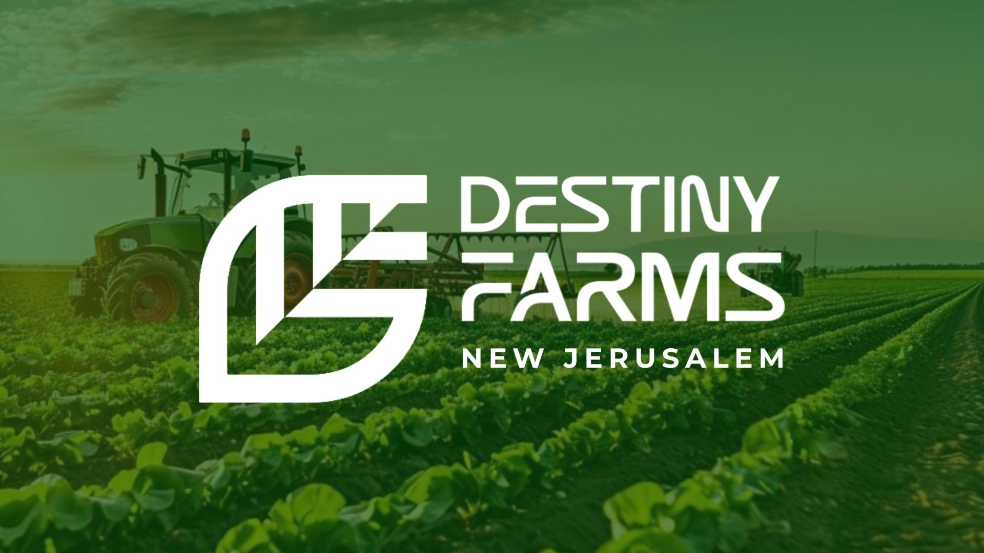 The Blueprint of Destiny: A Strategic Case Study of Destiny Farms